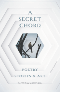 Book cover of 'A Secret Chord: Poetry, Stories & Art'